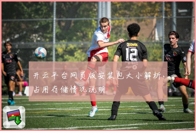 开云平台网页版安装包大小解析，占用存储情况说明
