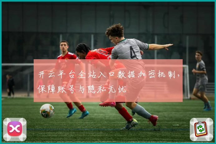 开云平台全站入口数据加密机制，保障账号与隐私无忧