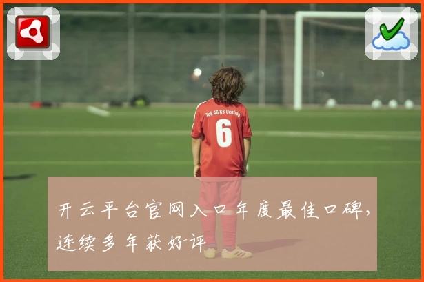 开云平台官网入口年度最佳口碑,连续多年获好评