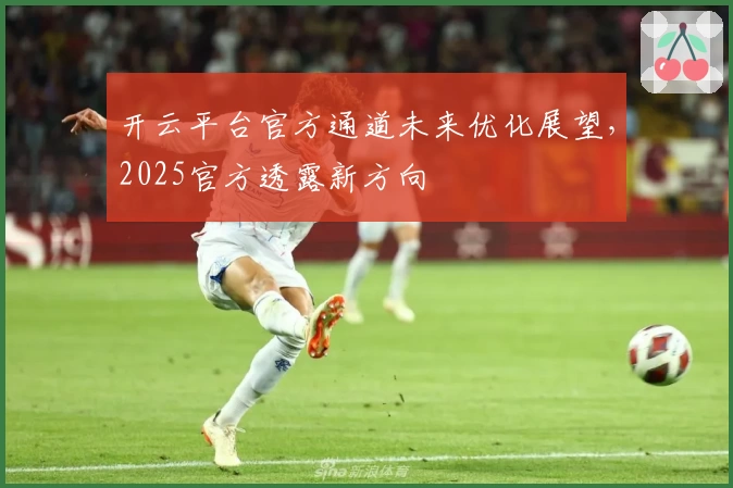 开云平台官方通道未来优化展望，2025官方透露新方向