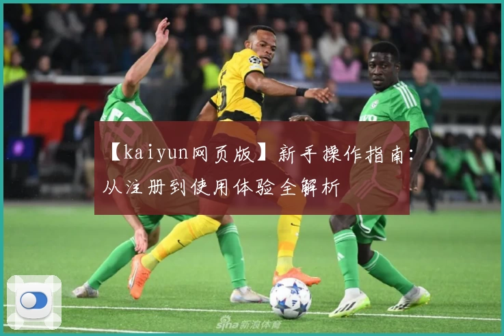【kaiyun网页版】新手操作指南：从注册到使用体验全解析