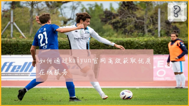 如何通过kaiyun官网高效获取优质在线服务