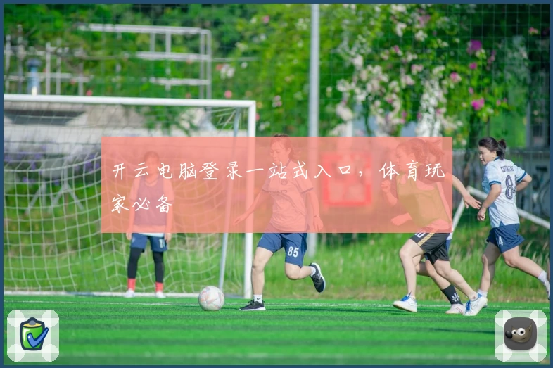开云电脑登录一站式入口，体育玩家必备