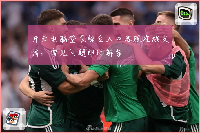 开云电脑登录综合入口客服在线支持，常见问题即时解答