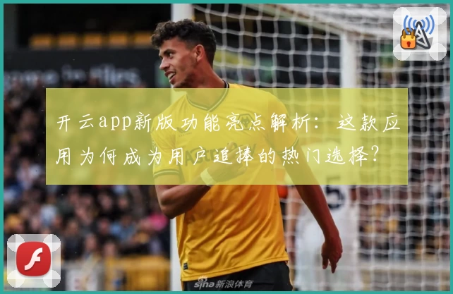 开云app新版功能亮点解析：这款应用为何成为用户追捧的热门选择？